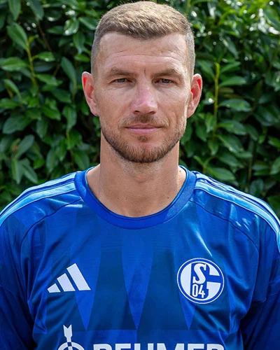 Edin Dzeko